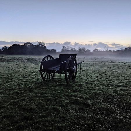 Ferme De Franqueville 생마리뒤몽 외부 사진