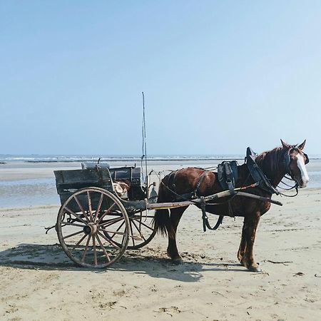 Ferme De Franqueville 생마리뒤몽 외부 사진