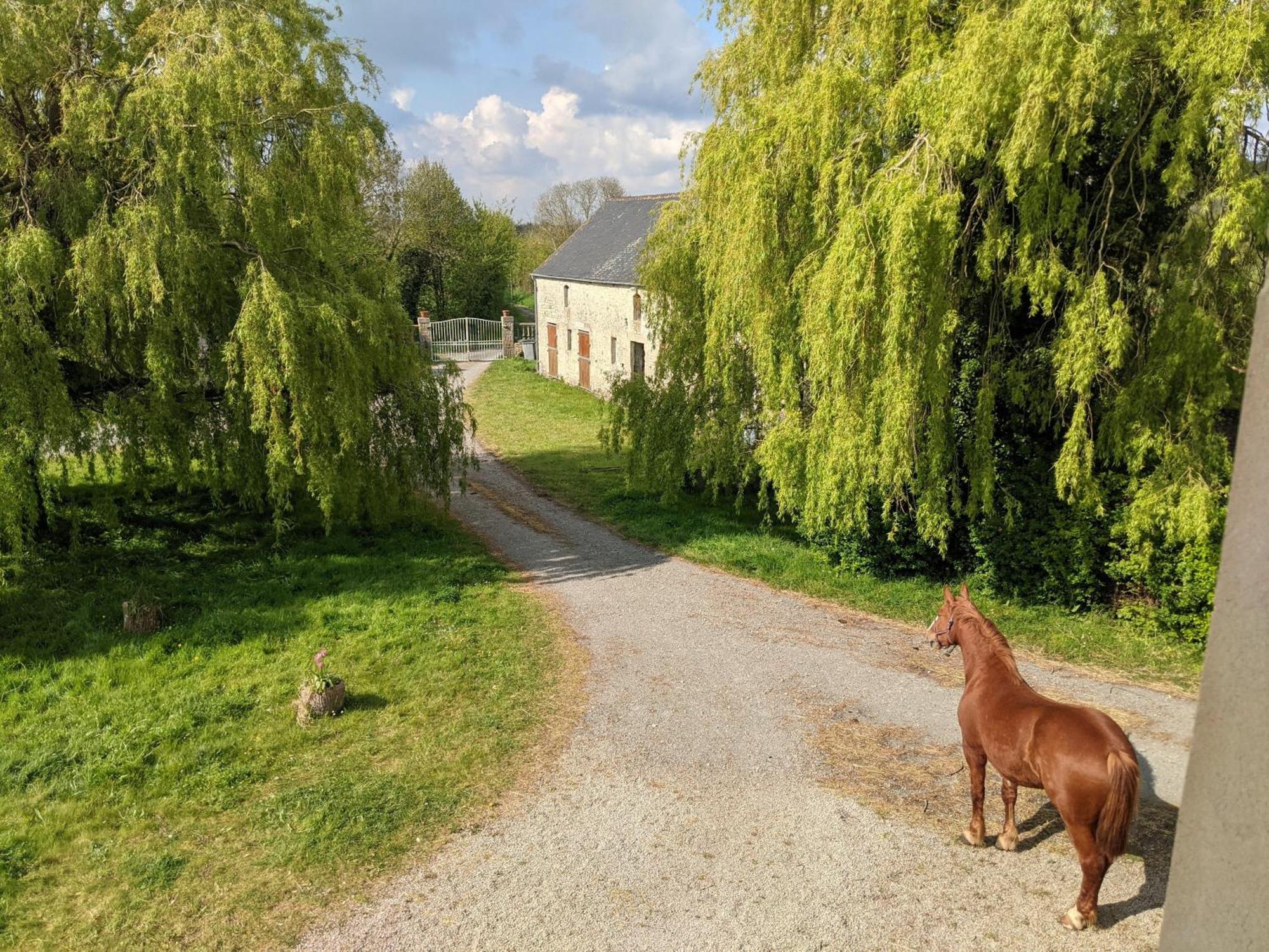 Ferme De Franqueville 생마리뒤몽 외부 사진